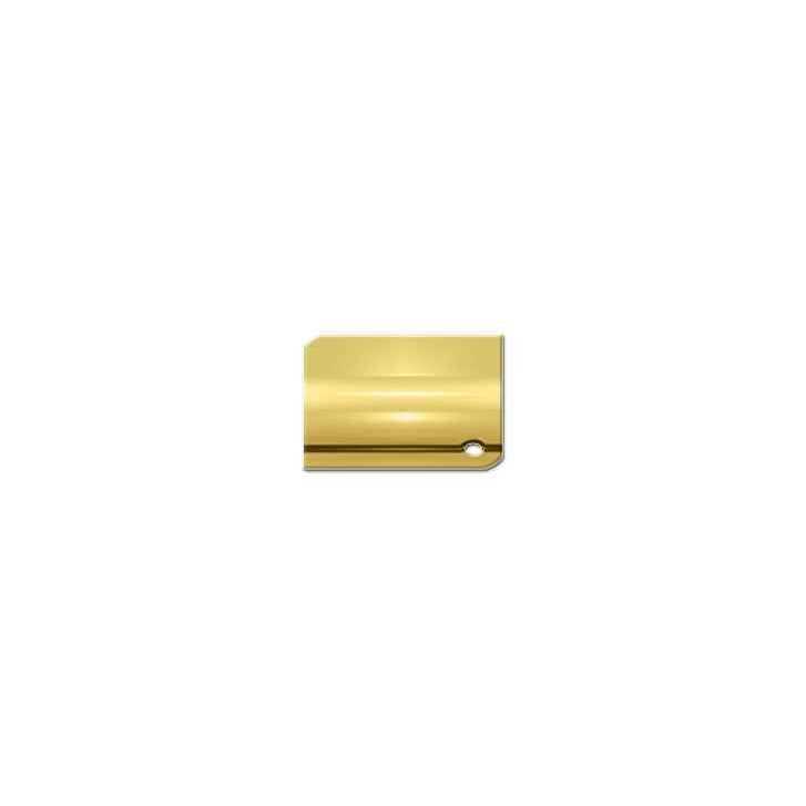 Deltana DASH95 Spring Hinge Double Action Brass - Inhomebuy