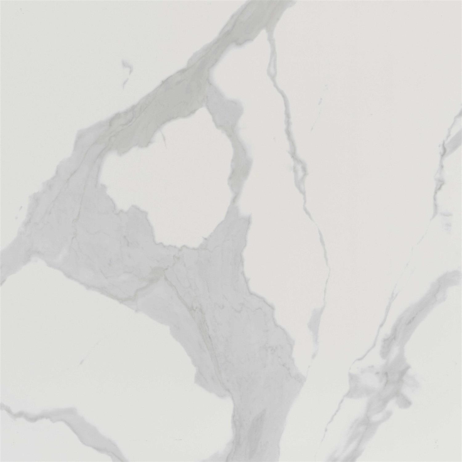 MSI Eden Statuary 24 in. x Porcelain Floor and Wall Tile - Inhomebuy