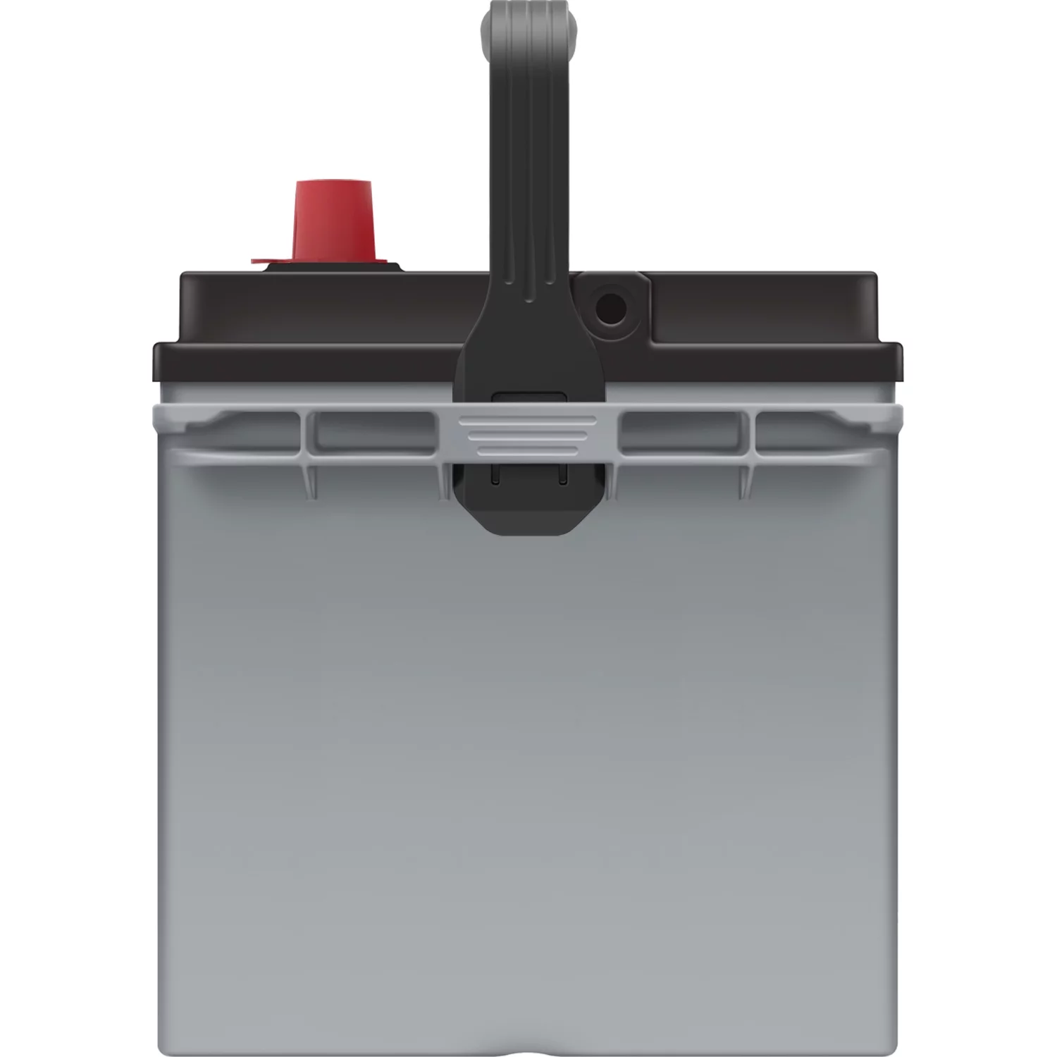 EverStart Platinum AGM Automotive Battery, Group Size 24F 12 Volt, 750 CCA - Inhomebuy