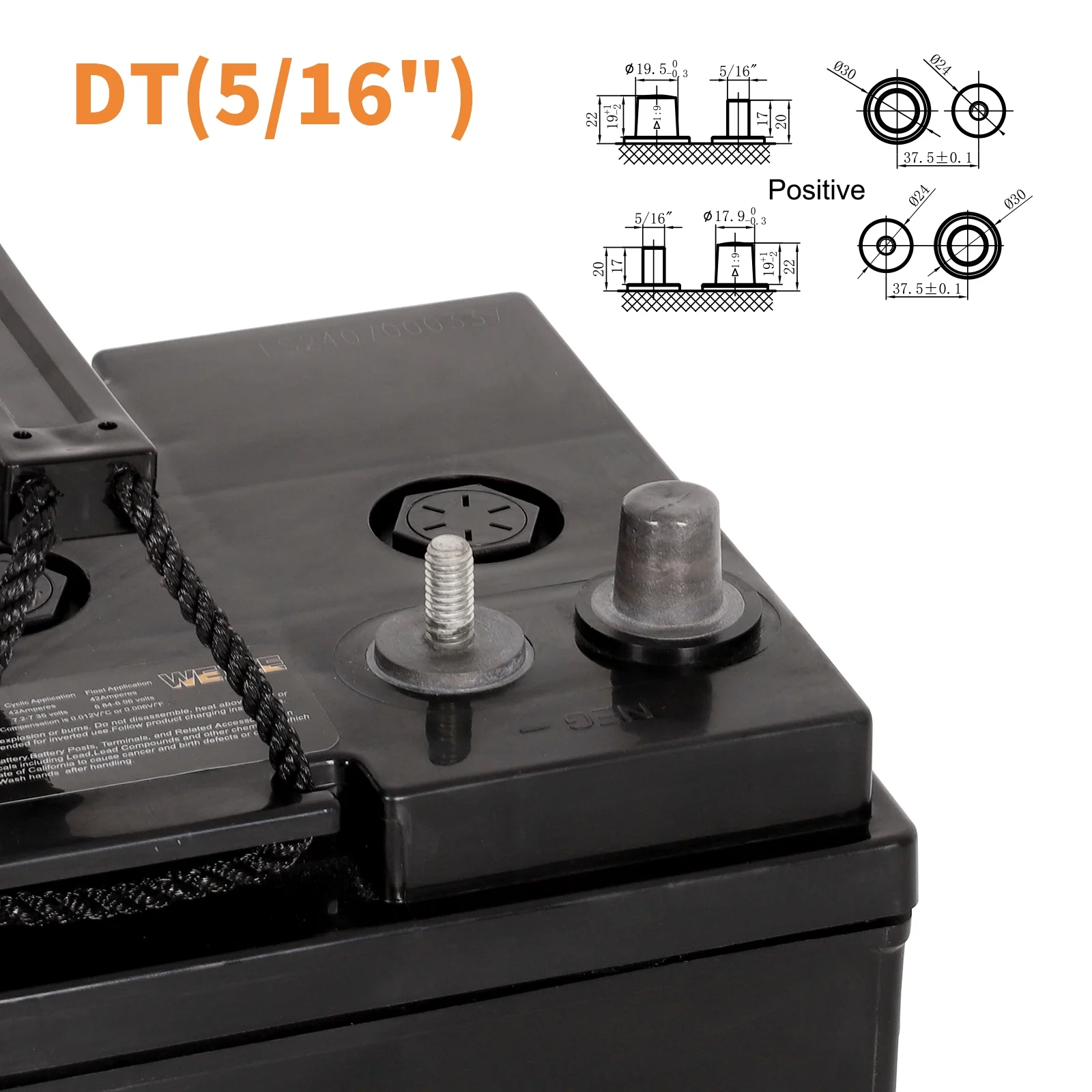 Weize Golf Cart Battery, 6V 210ah BCI Group GC2 Deep Cycle AGM Scrubber Battery - Inhomebuy