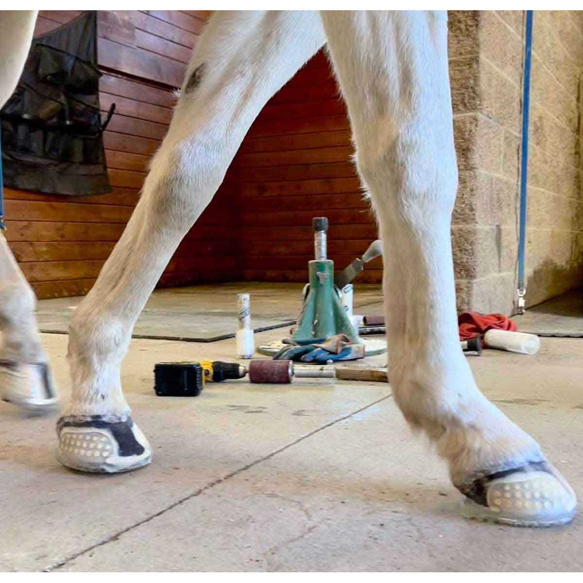 EasyPro Submersible Pump Screens - Inhomebuy