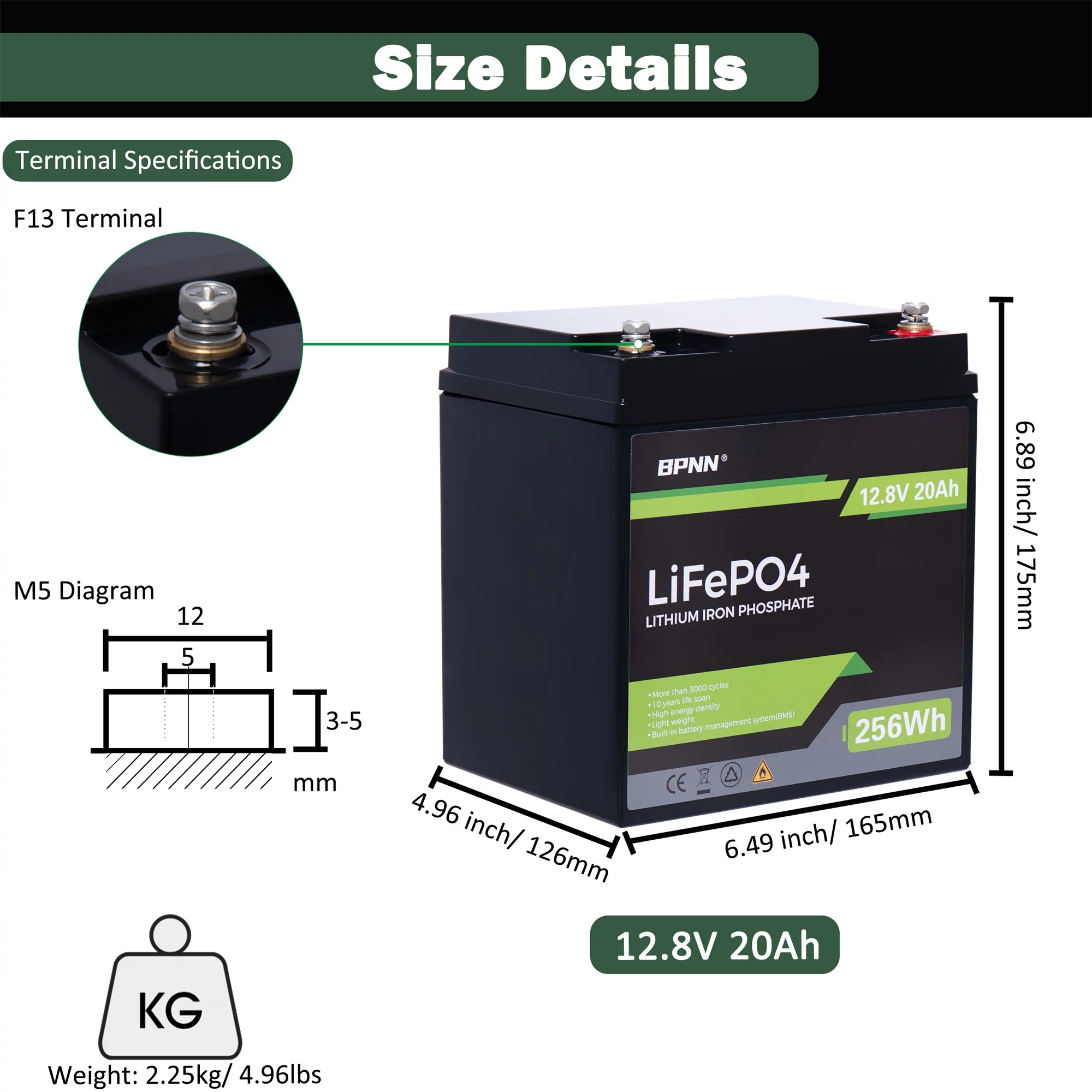 BPNN 12V 100Ah LiFePO4 Battery Long Cycles 12V Lithium Battery for RV Home Backup - Inhomebuy