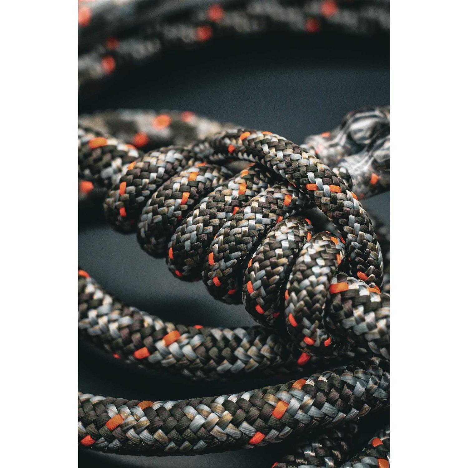 Zoo Med ReptiTemp Digital Thermostat - Inhomebuy