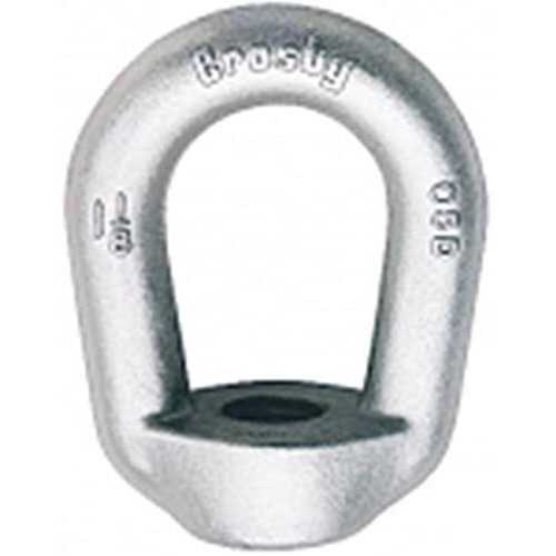 Crosby 320AN Alloy Eye Hoist Hook at Rigging Warehouse - Inhomebuy