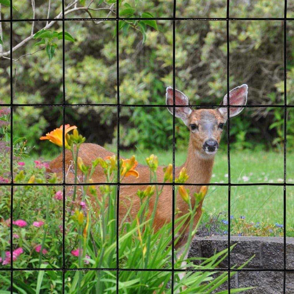 MTB Supply MTB Black PVC Coated Welded Wire Mesh Garden Economy Fence 1 Inch x 1 Inch 16GA - Inhomebuy