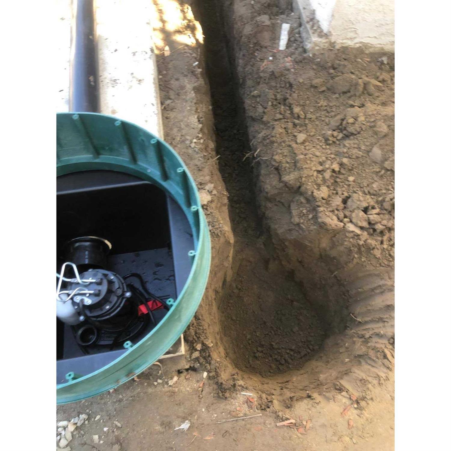 Wayne 1/2 HP Thermoplastic Sump Pump SPF50 - Inhomebuy