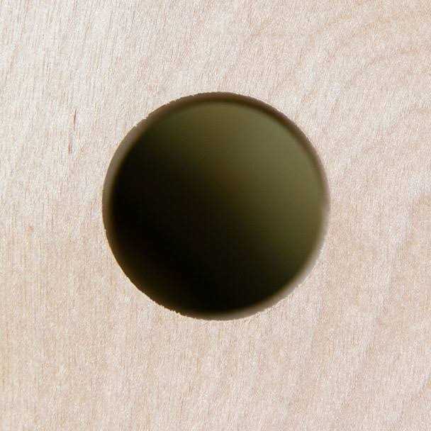 WoodOwl 00707 OverDrive Wood Boring Bit for Cordless Drills - Inhomebuy