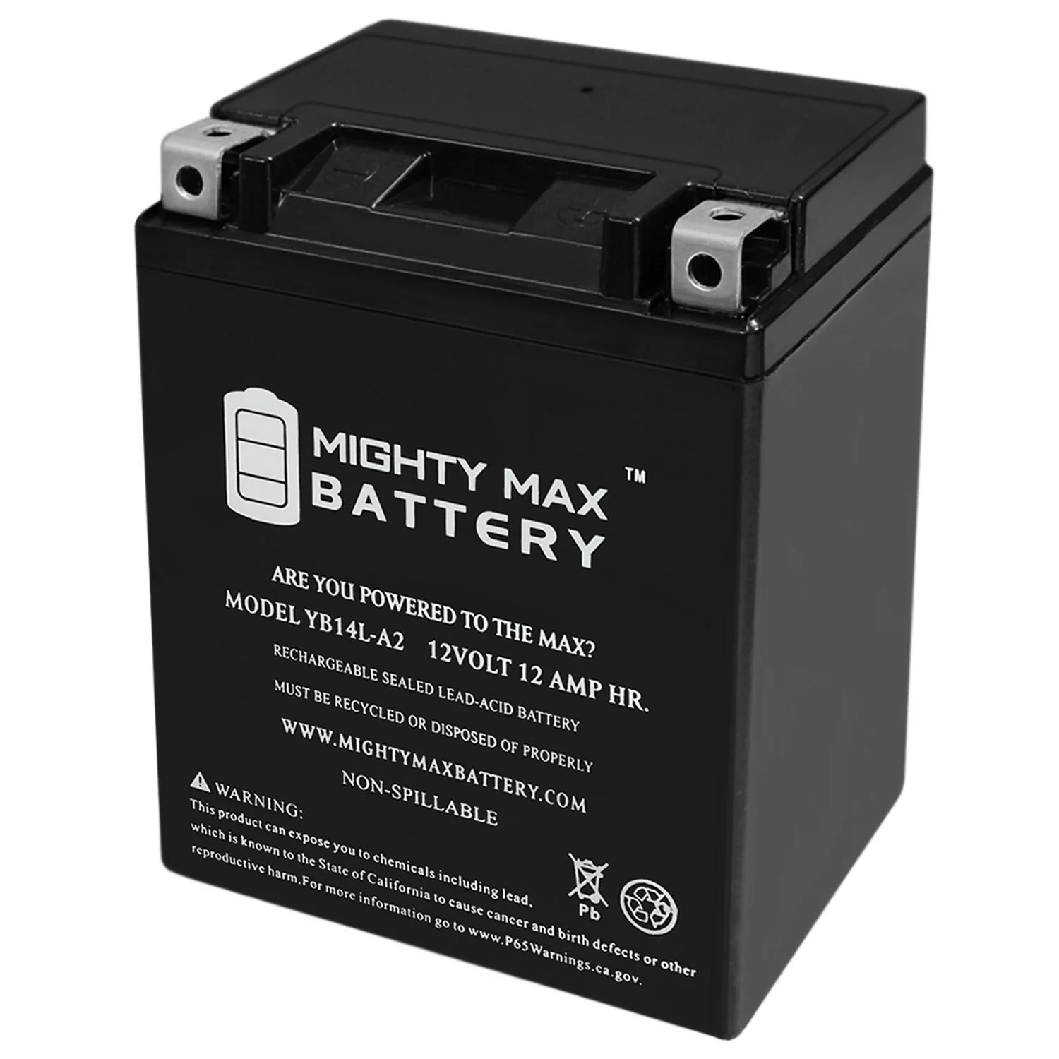 YB14L-A2 12V 12Ah Replacement Battery for AGM ES14LA2 - Inhomebuy