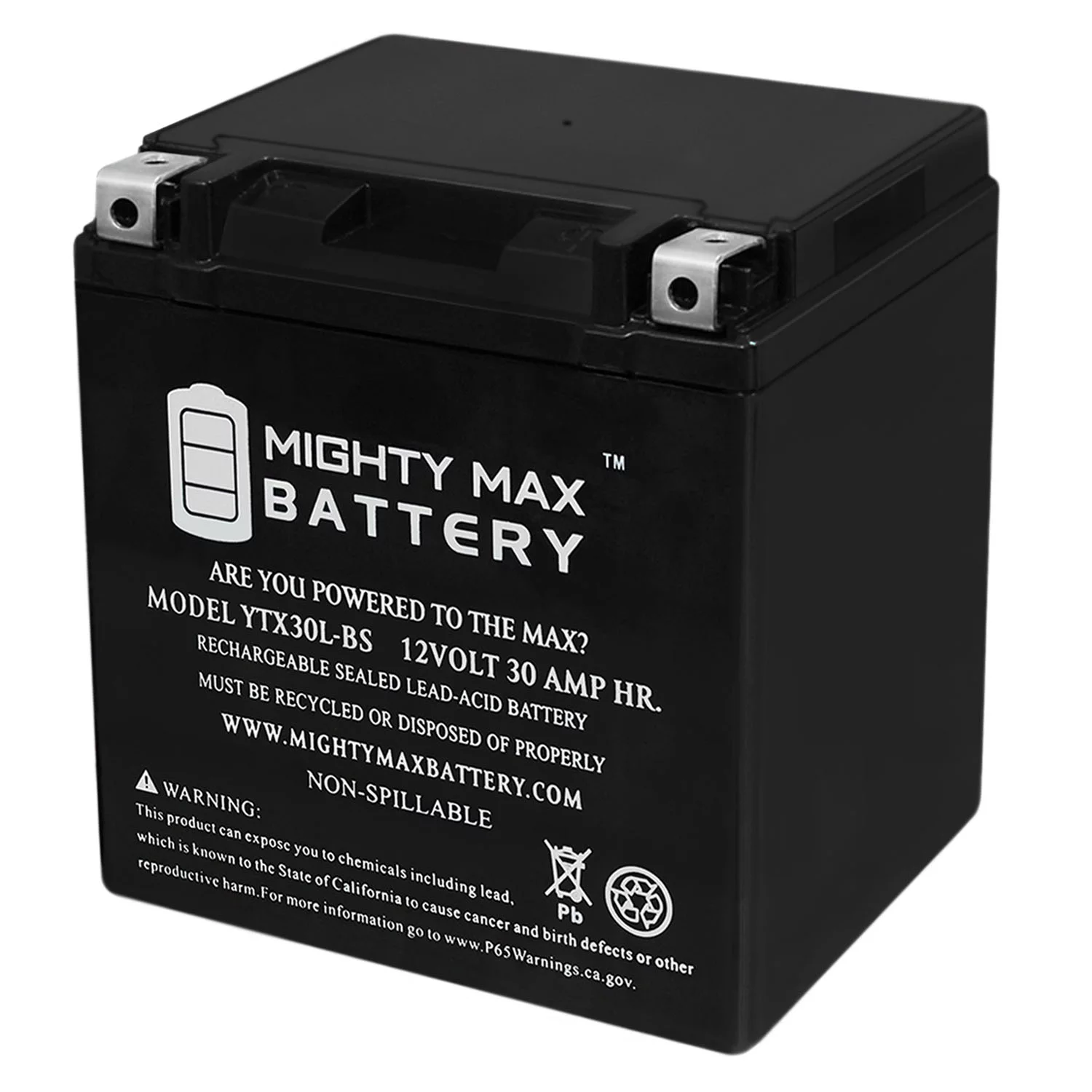 YTX30L-BS 12V 30AH Battery for Motorcycle Harley Davidson - Inhomebuy