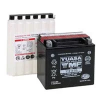 Yuasa Ytx14 Bs Maintenance Free 12 Volt Battery - Inhomebuy