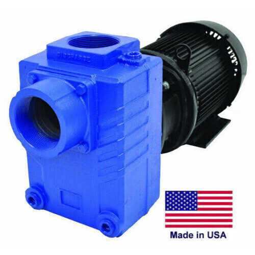 Fill-Rite FR1614 Portable Fuel Transfer Pump - Inhomebuy