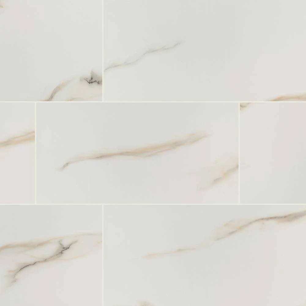 MSI Aria Bianco 24 in. Polished Porcelain Floor and Wall Tile - Inhomebuy