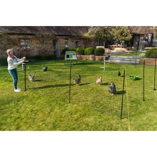 Omlet Chicken Fencing Mk2 - Inhomebuy