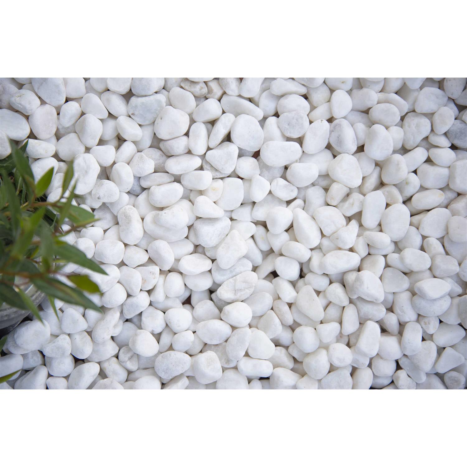 Wondercap 2 in. Dia. Chrome ABS Tile Shower Drain Outlet 4898755 - Inhomebuy