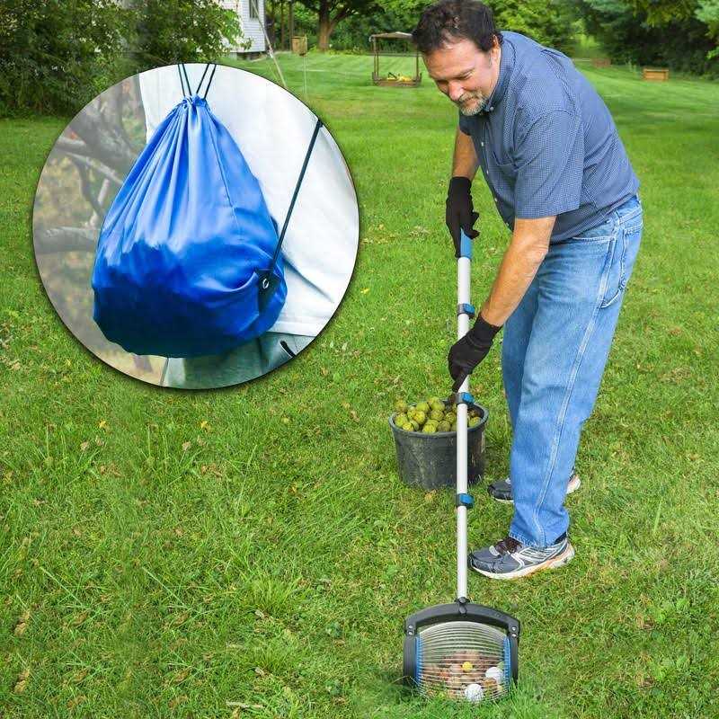 Zozen Nut Gatherer Picker Upper Directly Dump Outlet Medium - Inhomebuy