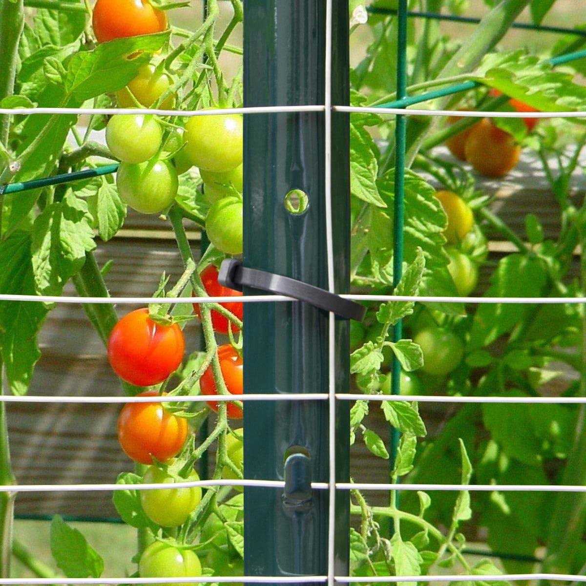 MTB Sturdy Duty Fence Post U Post 5 Feet - Inhomebuy