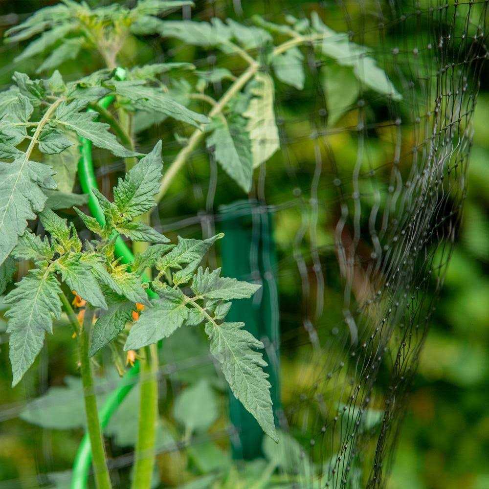 YardGard 72 in. H 16 Gauge Metal Chain Link Fence Terminal Post - Inhomebuy