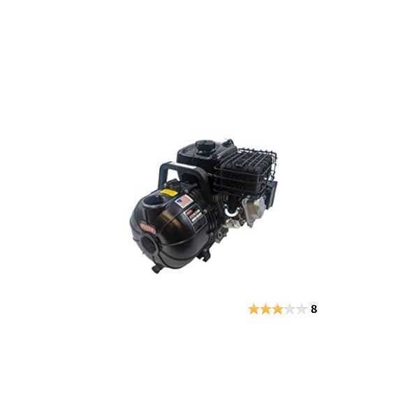 Pacer 5.5hp Transfer Pump - Inhomebuy