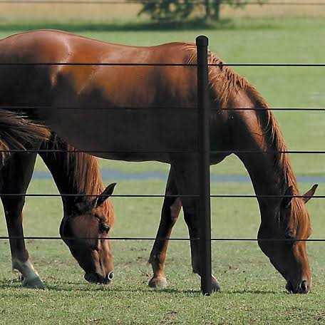 White Lightning 1320 ft. 12.5-Gauge Safety Coated High Tensile Electric Fence Wire - Inhomebuy