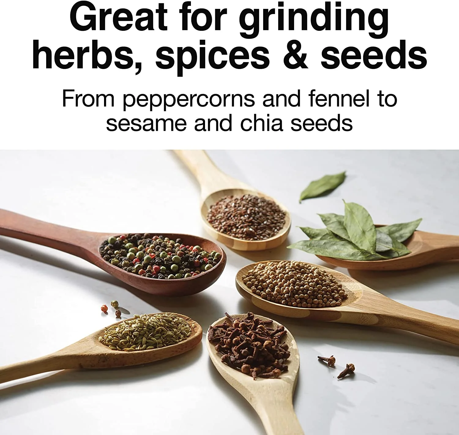 Proctor Silex Coffee Grinder: black | 80300 - Inhomebuy