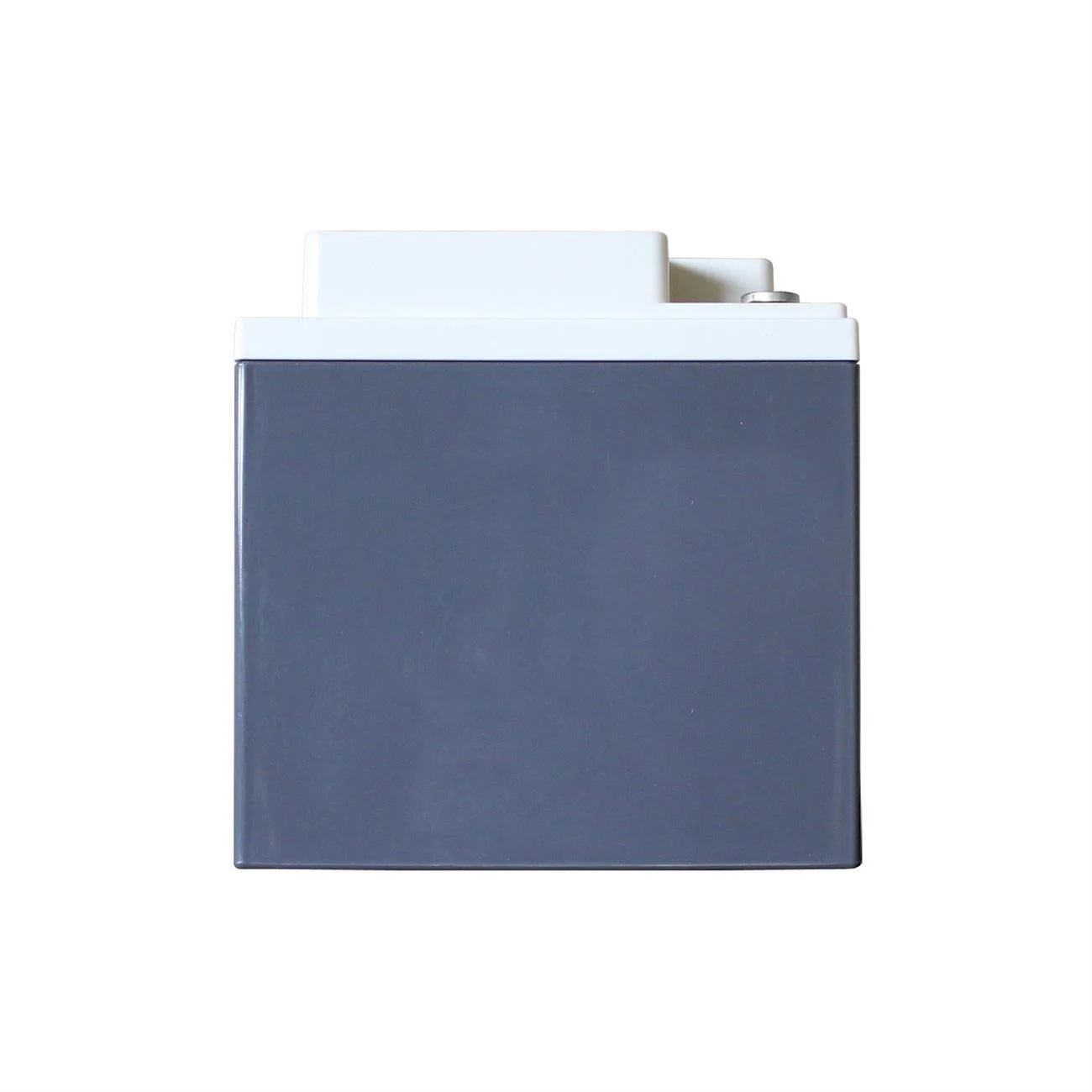 XS Power D1200 XS Series 12V 2600 Amp AGM High Output Battery with M6 Terminal Bolt - Inhomebuy