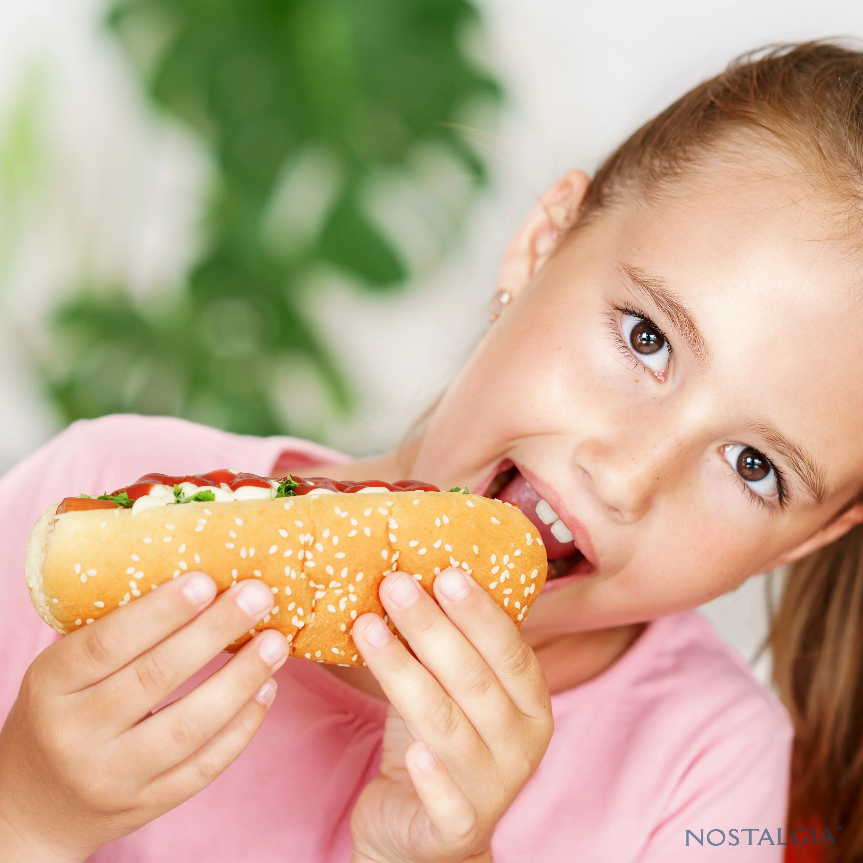 Hot Dog Roller & Bun Warmer, Aqua - Inhomebuy