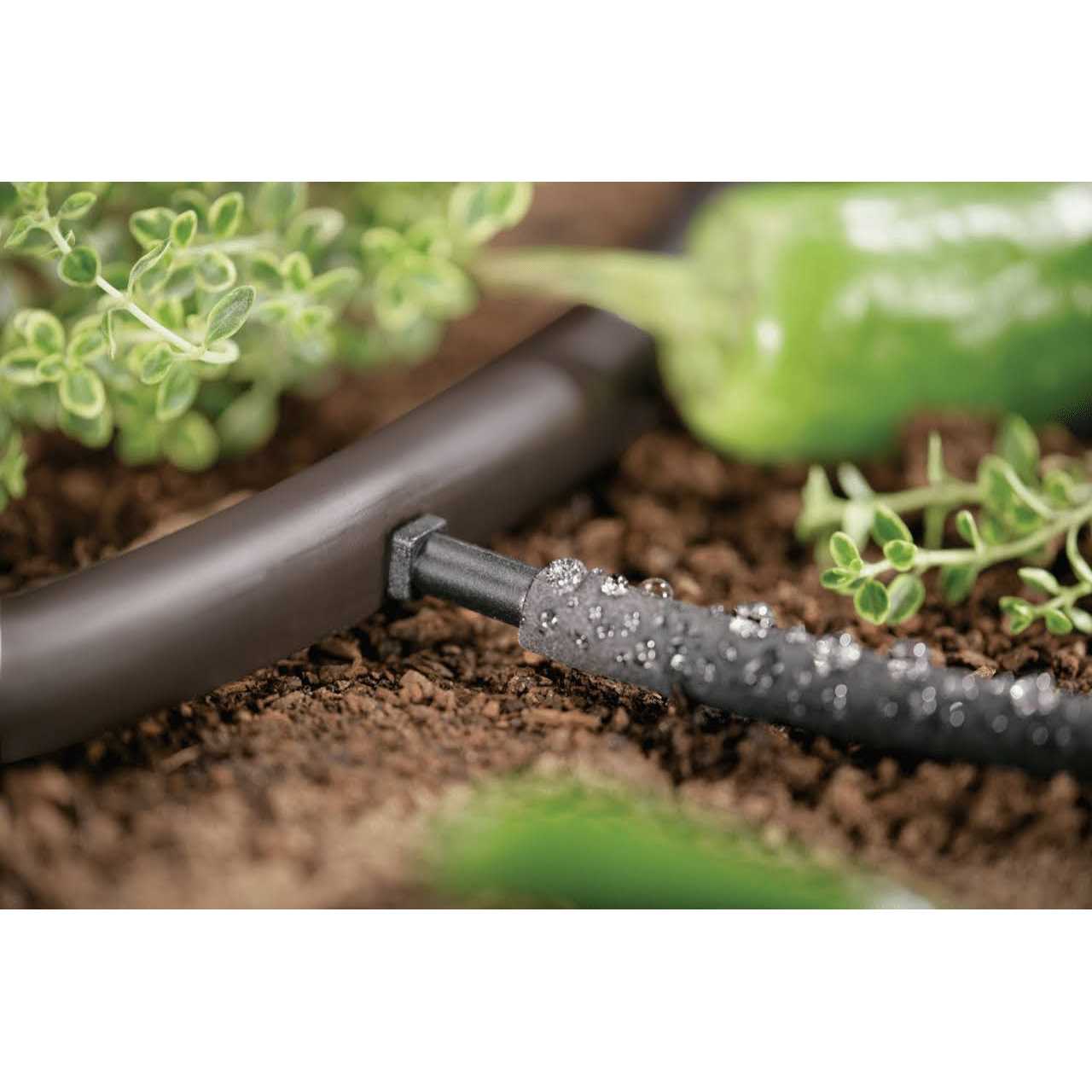 Orangea Razor Wire Galvanized Barbed Wire Razor Ribbon Barbed Wire 18 inches - Inhomebuy