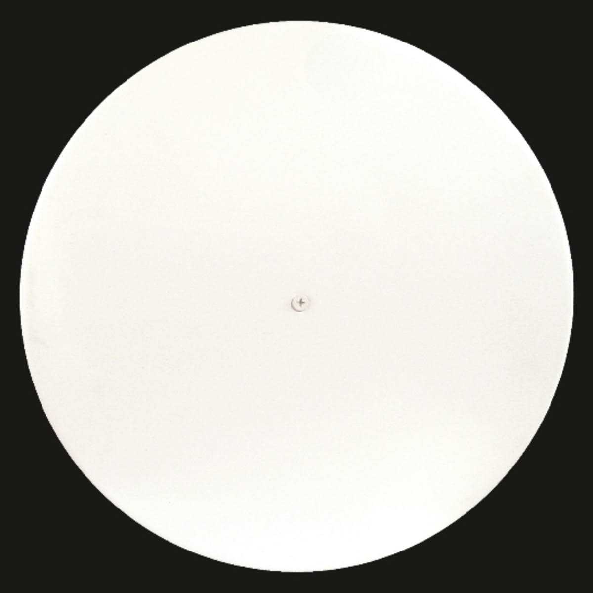 DECORA Stucco Veneziano Acrylic Venetian Plaster - Inhomebuy