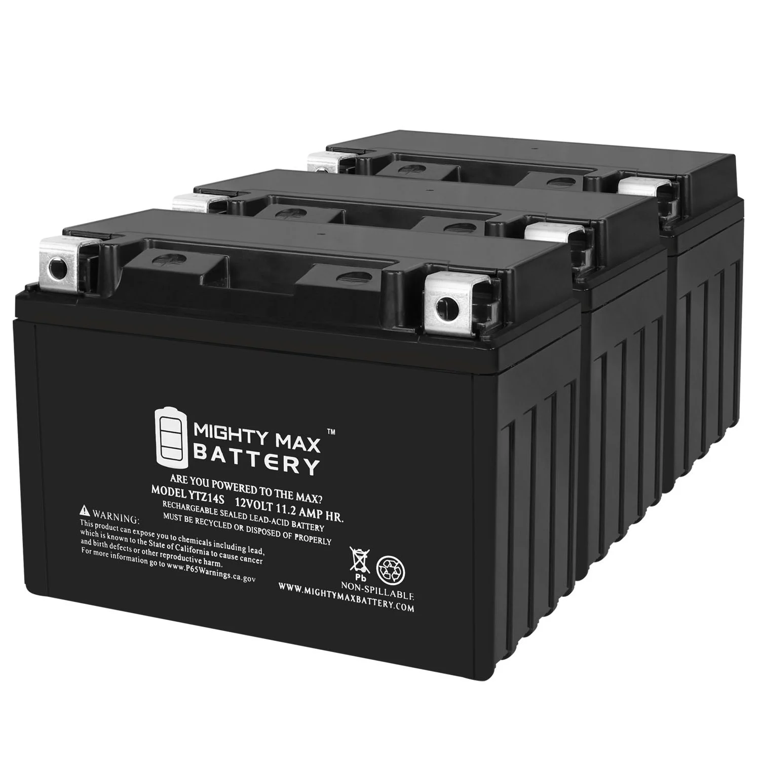 YTZ14S -12 Volt 11.2 AH, 230 CCA, Rechargeable Maintenance Free SLA AGM Motorcycle Battery - Inhomebuy