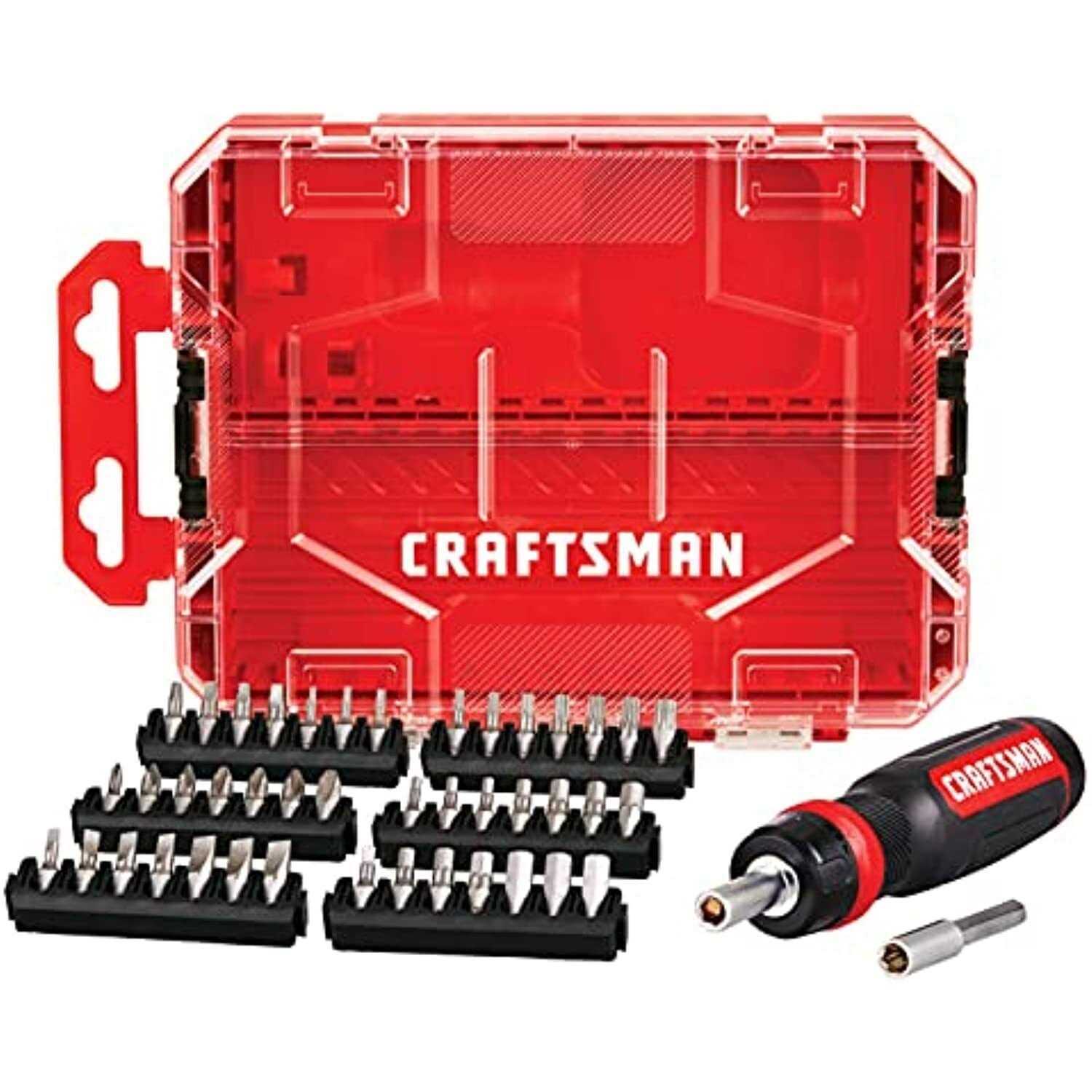 CRAFTSMAN 42-Piece Acetate Handle Assorted Screwdriver Set CMHT65300 - Inhomebuy