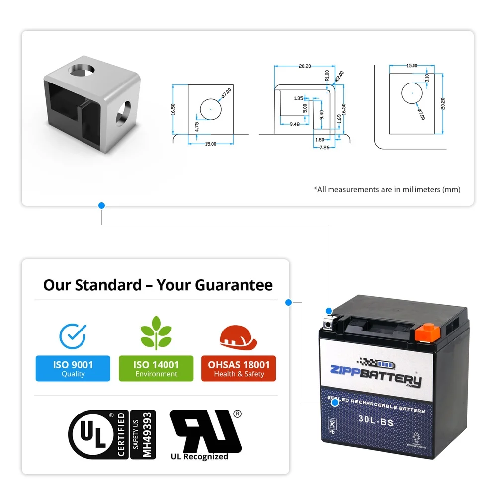 Zipp Battery Ytx30L-Bs Motorcycle Battery for Moto Guzzi Stone, Ev - Inhomebuy
