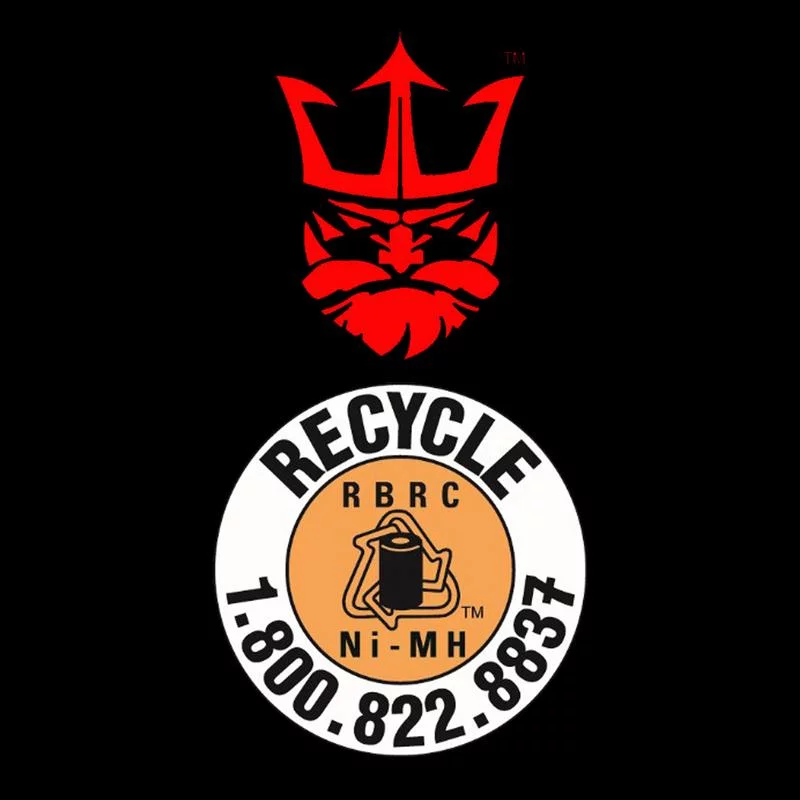 Honda FourTrax 300 4x4, 1998-2000 YTX14-BS(MF) SLA Powersport Replacement ATV Battery by Neptune - Inhomebuy