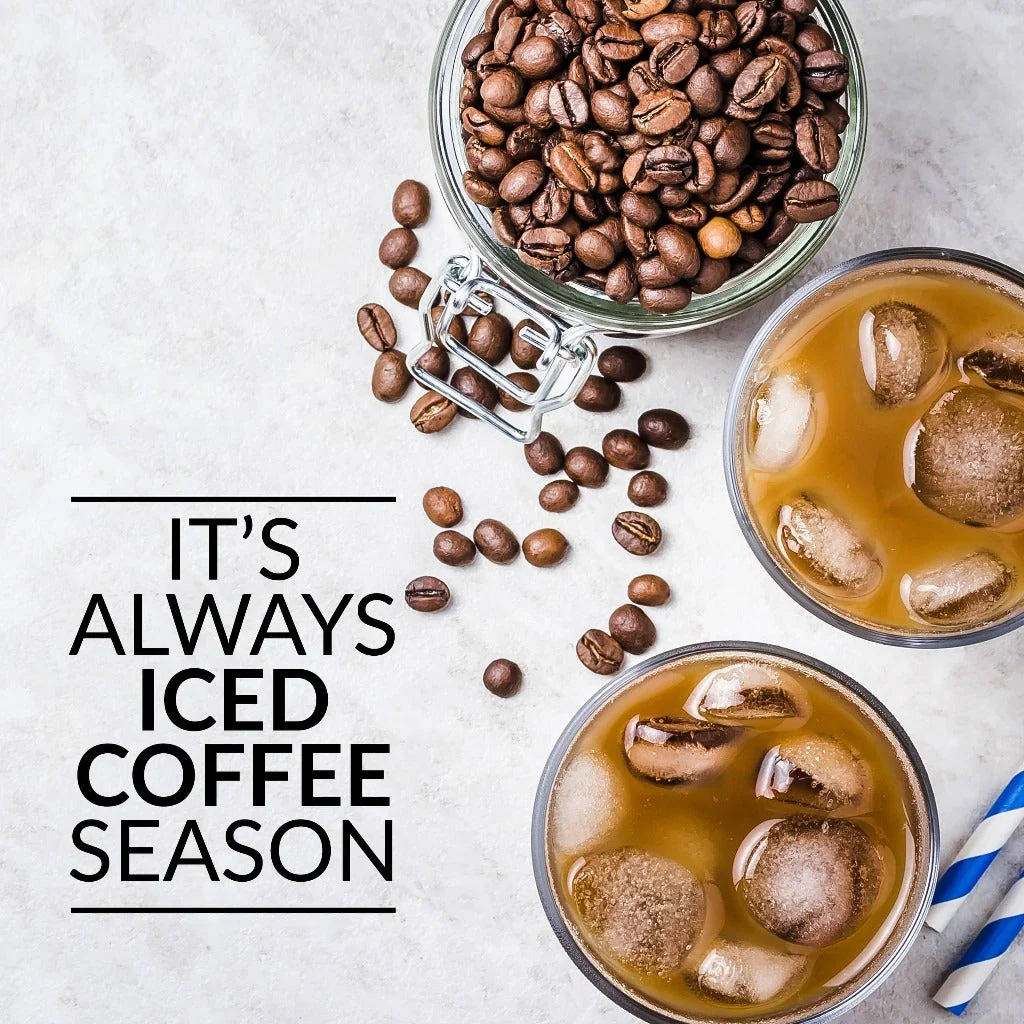 Café' Ice 3-Quart Iced Coffee and Tea Brewing System with Plastic Pitcher, Black - Inhomebuy