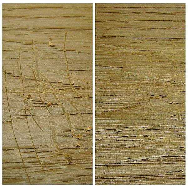 NewTechWood DeScratch Composite Decking Repair Kit - Inhomebuy