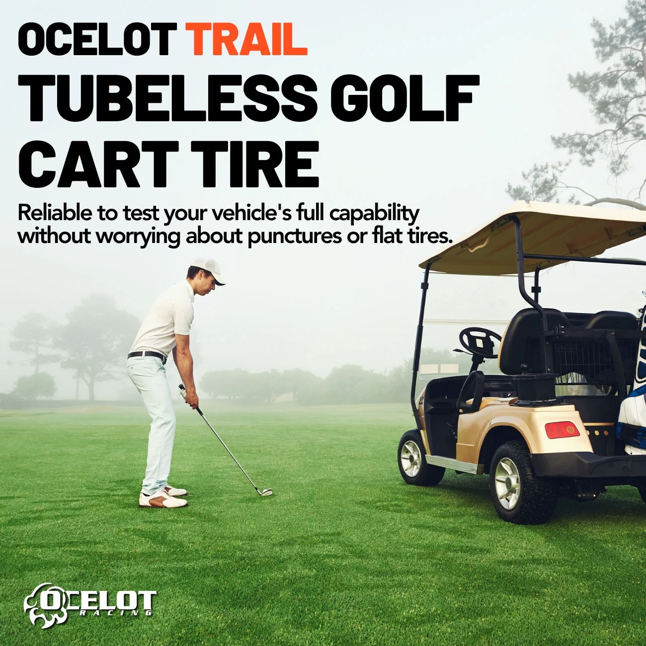 23 x 10 - 12 Ocelot Trail Golf Cart Tire - Inhomebuy