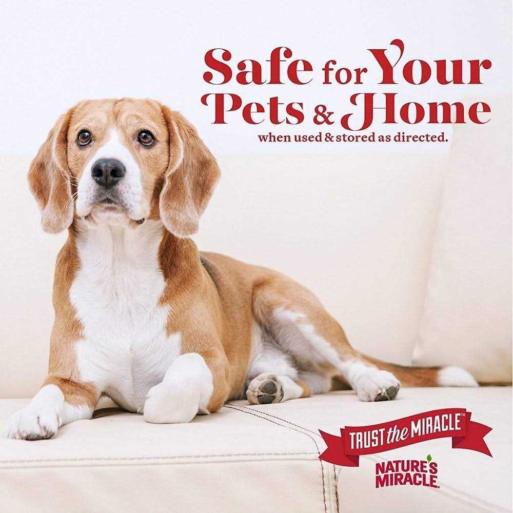 Nature’s Generator Power Transfer Kit Elite - Inhomebuy