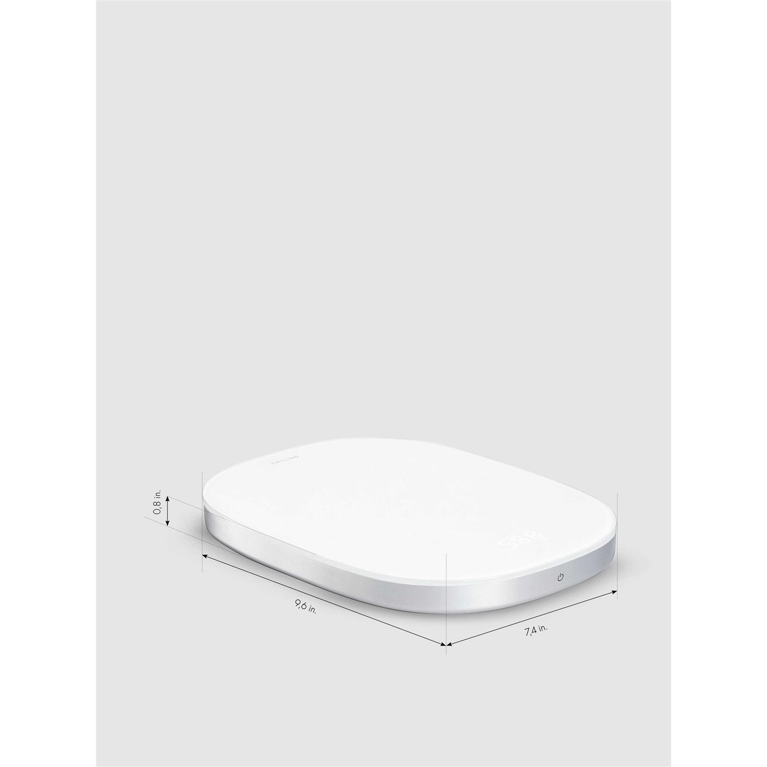 Zwilling 4-Stage Knife and Shear Sharpener - Inhomebuy