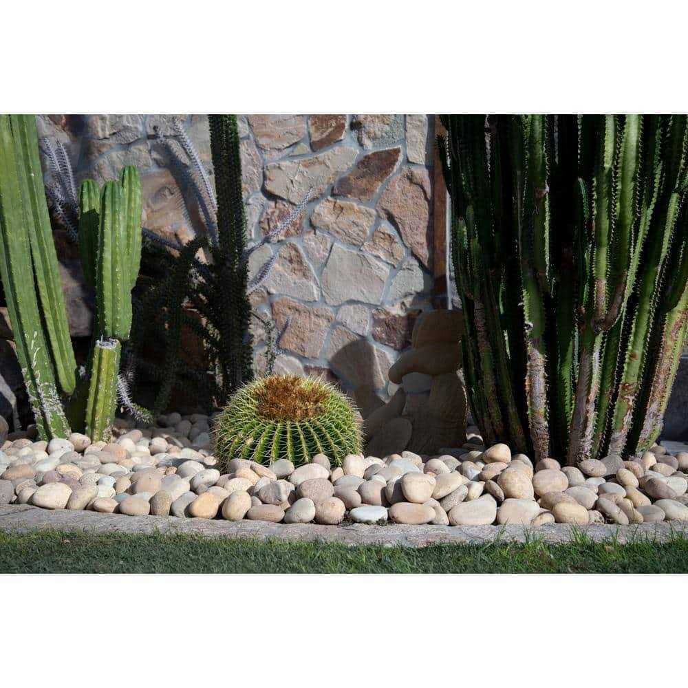 MSEAL Pidilite M-Seal PHATAPHAT Fast Curing EPOXY Compound 4 x 25g - Inhomebuy