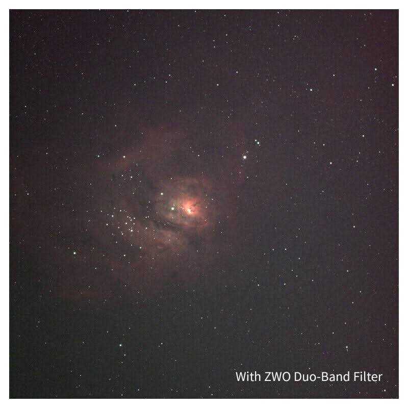 Zwilling V-Edge Sharpener - Inhomebuy