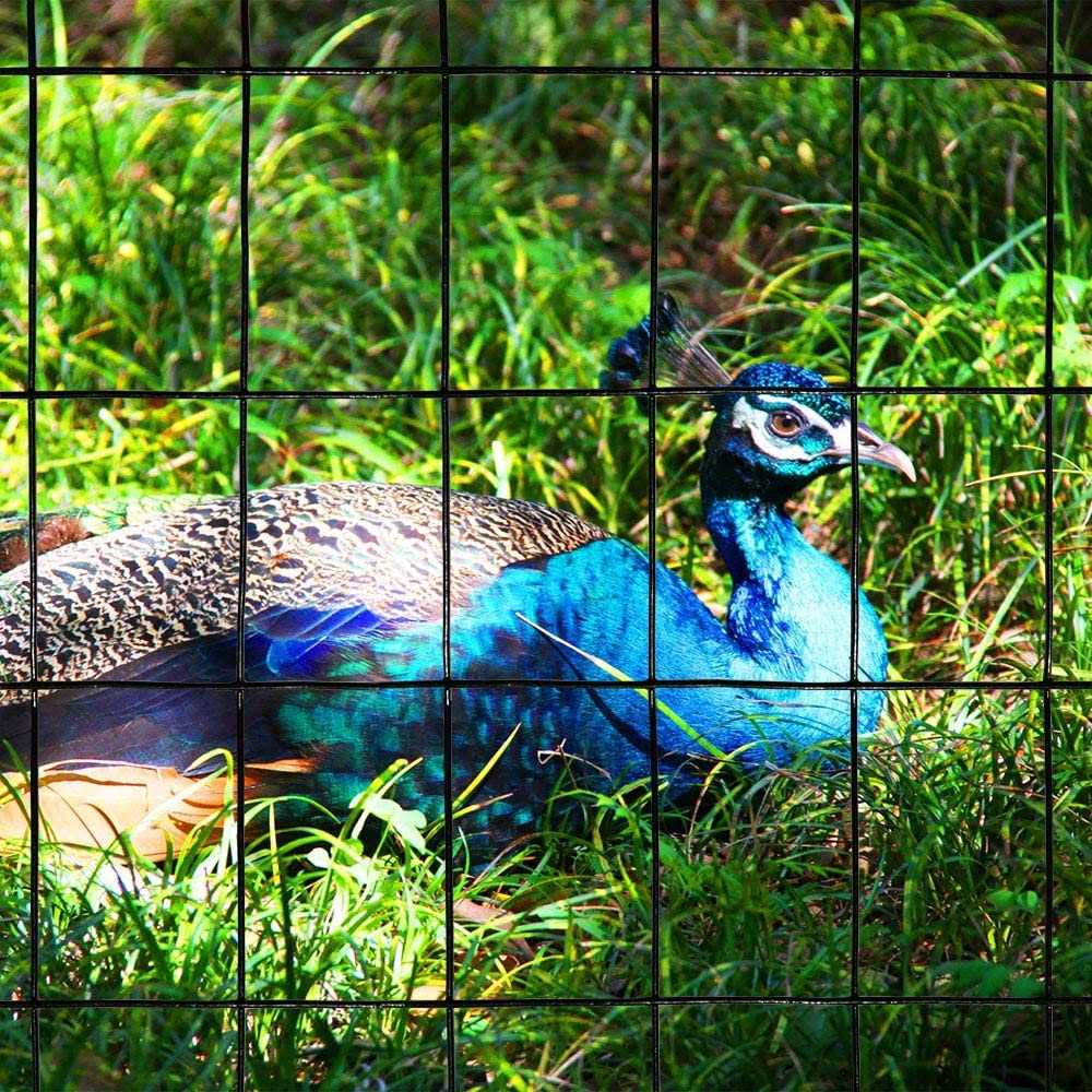 MTB Supply MTB 39 Inches Heavy Duty Steel Pig Tail Step-in Fence Post - Inhomebuy