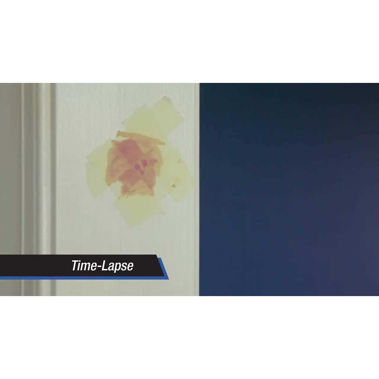 Dap Plastic Wood-X Repair Kit - Inhomebuy