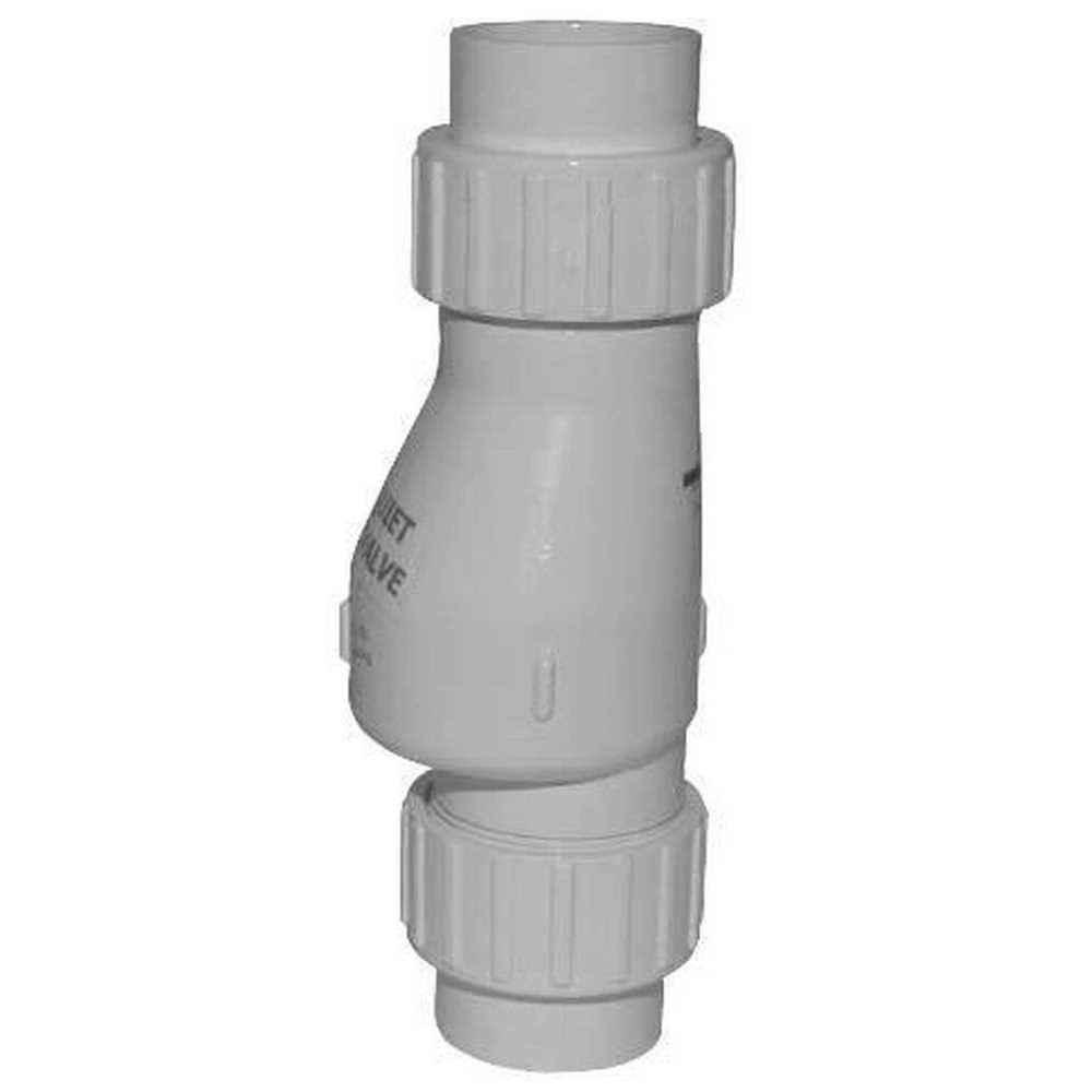 Zoeller 30-0021 Check Valve - Inhomebuy