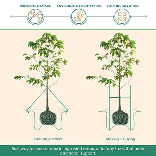 DeepRoot ArborTie Staking and Guying Material - Inhomebuy