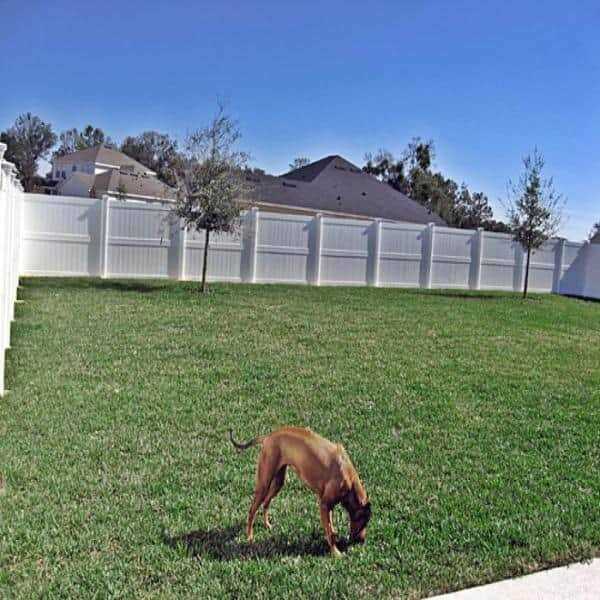 Weatherables Augusta 6 ft. H x 8 ft. W White Vinyl Privacy Fence Panel Kit - Inhomebuy