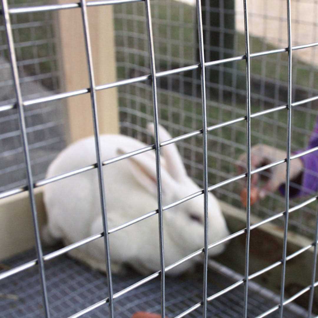 Yardgard 309312A 24 inch by 25 Foot 16 Gauge 1 inch by 1 inch Mesh Galvanized Welded Wire - Inhomebuy