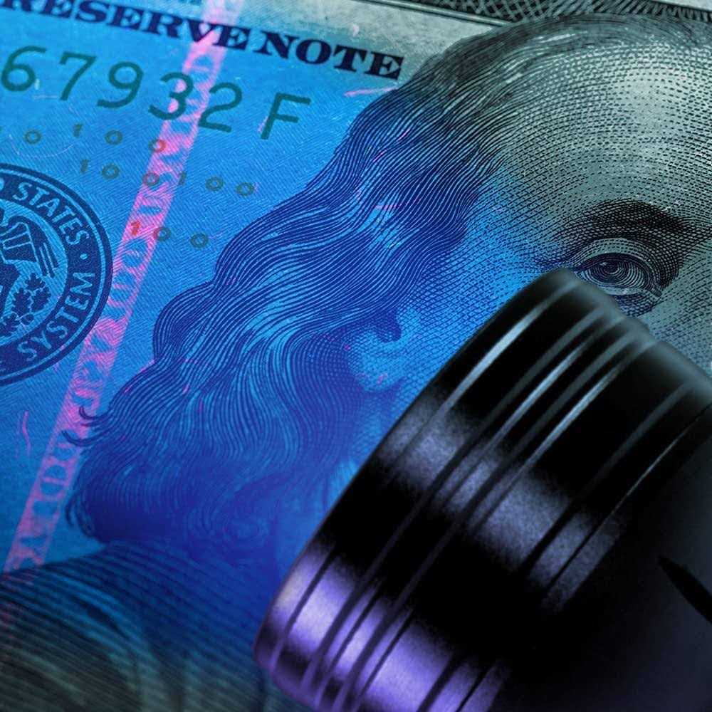 MVP Extra Large UV Flashlight - Inhomebuy