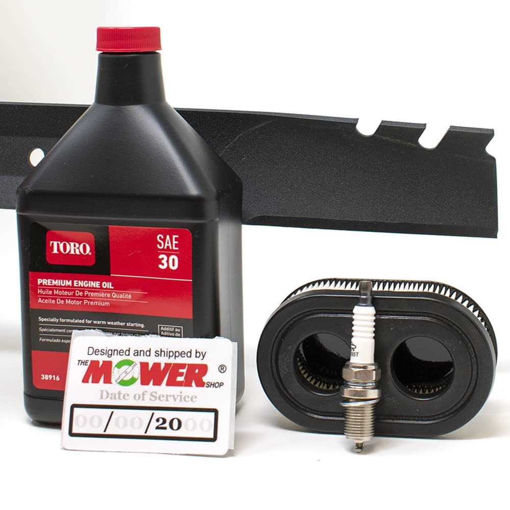 Toro Powermax HD Maintenance Kit - Inhomebuy