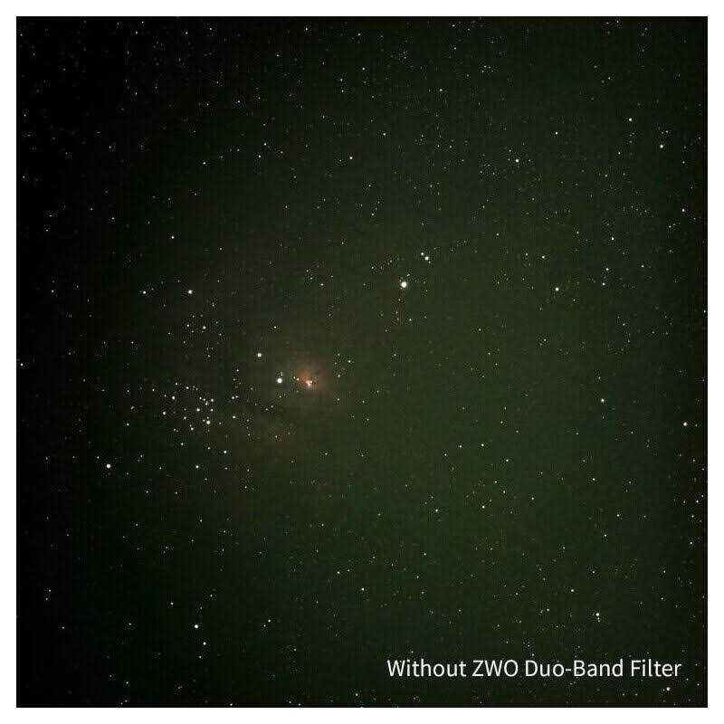 Zwilling V-Edge Sharpener - Inhomebuy