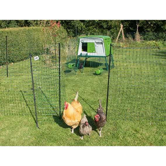 Omlet Chicken Fencing Mk2 - Inhomebuy