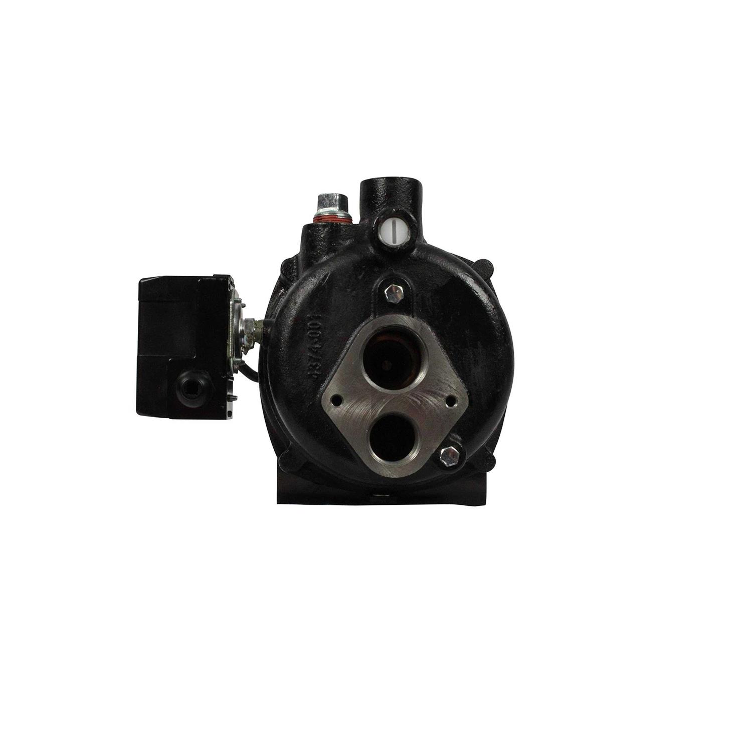 Wayne CDU800 1/2 HP Submersible Cast Iron Sump Pump - Inhomebuy